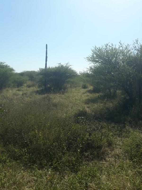 0 Bedroom Property for Sale in Andeon Gauteng