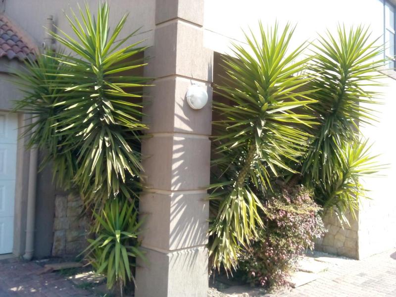 To Let 3 Bedroom Property for Rent in Mantevrede Gauteng