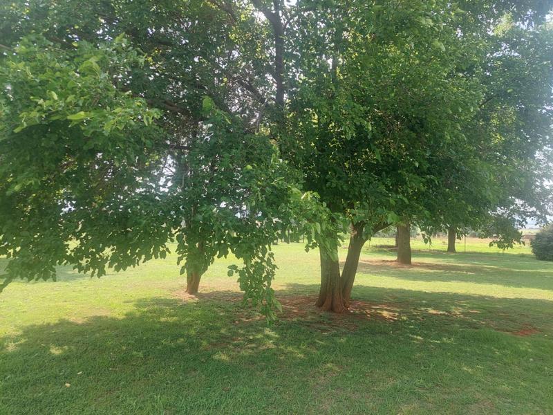 4 Bedroom Property for Sale in Randridge Ah Gauteng