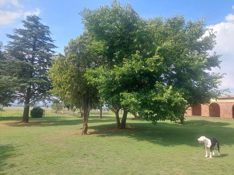 4 Bedroom Property for Sale in Randridge Ah Gauteng
