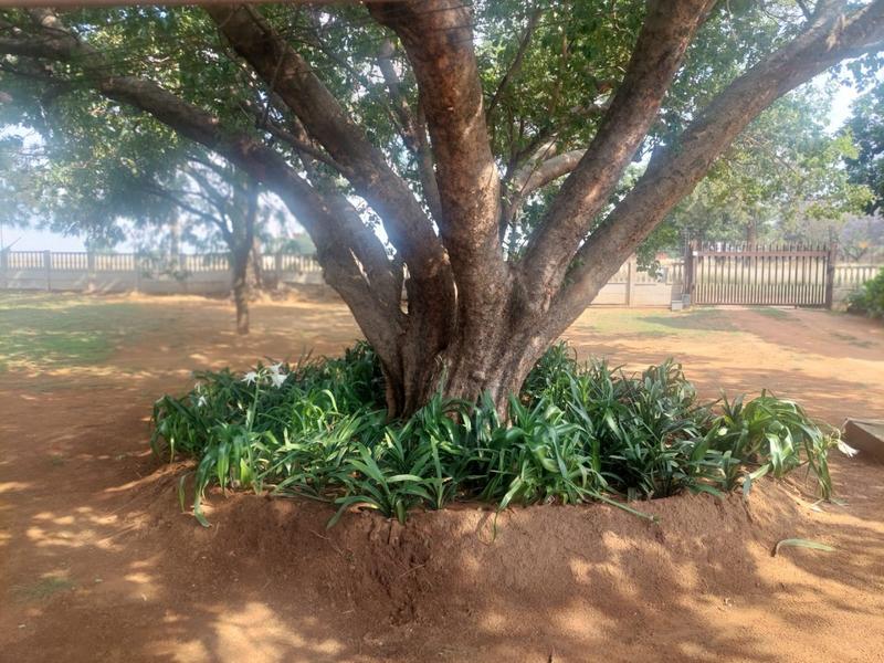 4 Bedroom Property for Sale in Randridge Ah Gauteng