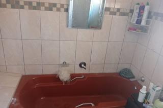 3 Bedroom Property for Sale in Boksburg South Gauteng