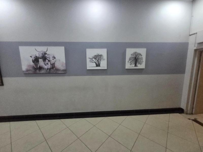 To Let 1 Bedroom Property for Rent in Marshalltown Gauteng