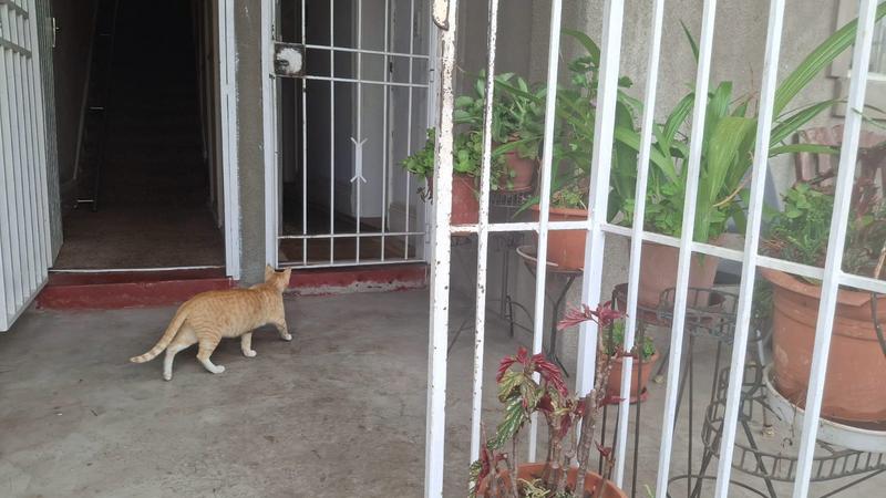 4 Bedroom Property for Sale in Troyeville Gauteng