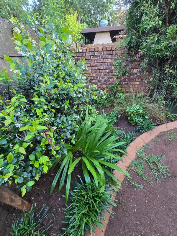 To Let 2 Bedroom Property for Rent in Meyerton Central Gauteng