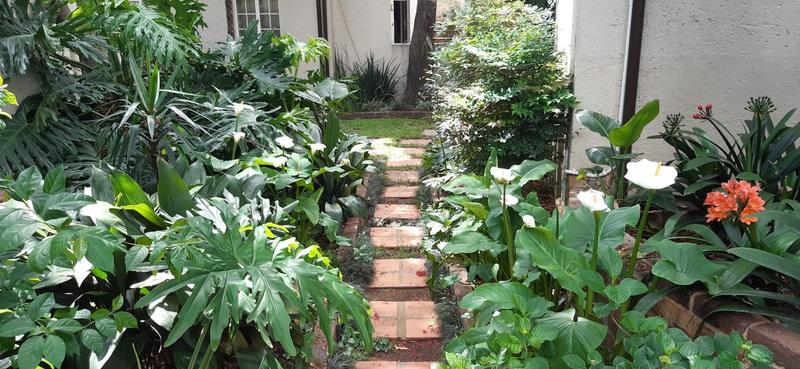 To Let 2 Bedroom Property for Rent in Rivonia Gauteng