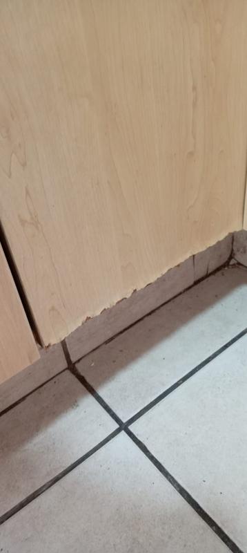 To Let 1 Bedroom Property for Rent in Wapadrand Gauteng