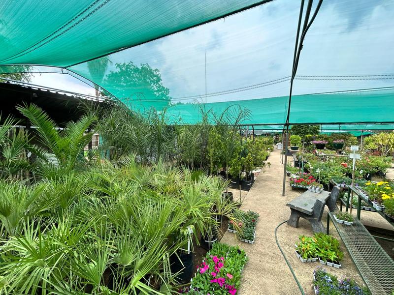 Commercial Property for Sale in Nigel Gauteng