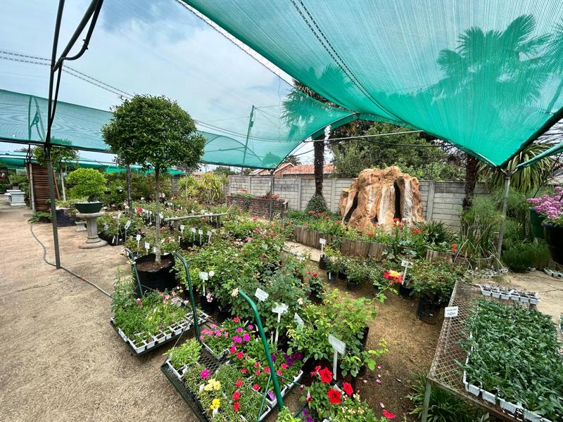 Commercial Property for Sale in Nigel Gauteng