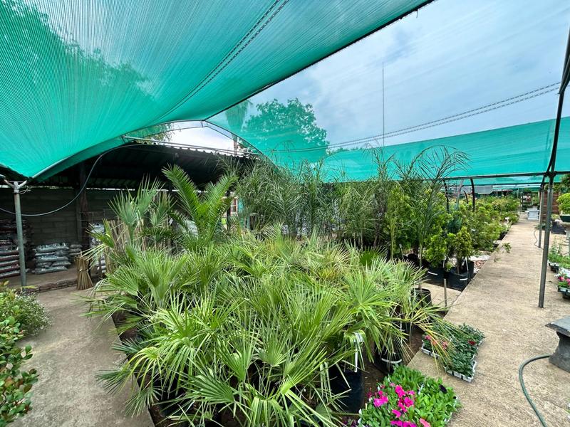 Commercial Property for Sale in Nigel Gauteng