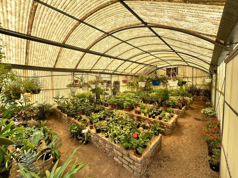 Commercial Property for Sale in Nigel Gauteng