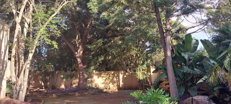To Let 4 Bedroom Property for Rent in Bryanston Gauteng