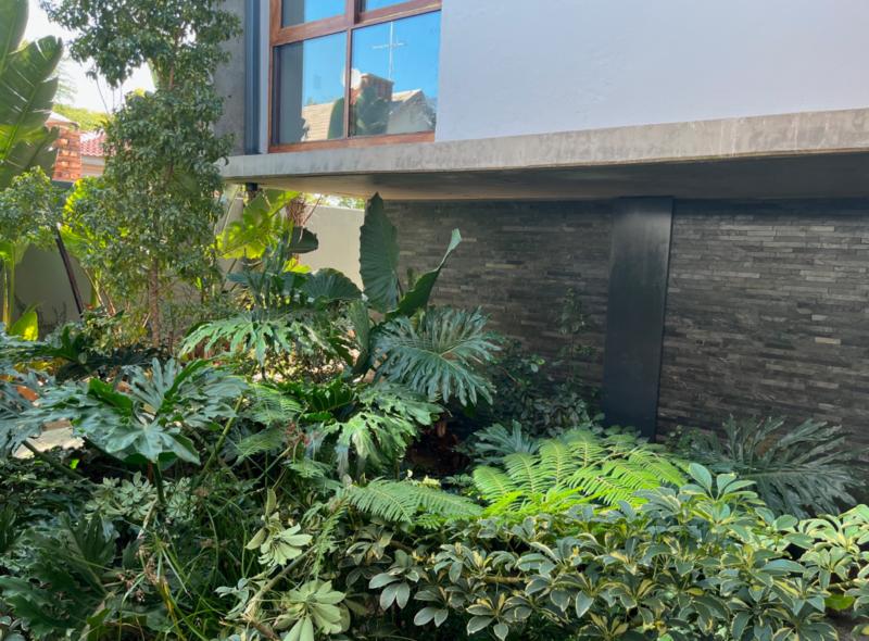 To Let 3 Bedroom Property for Rent in Brooklyn Gauteng