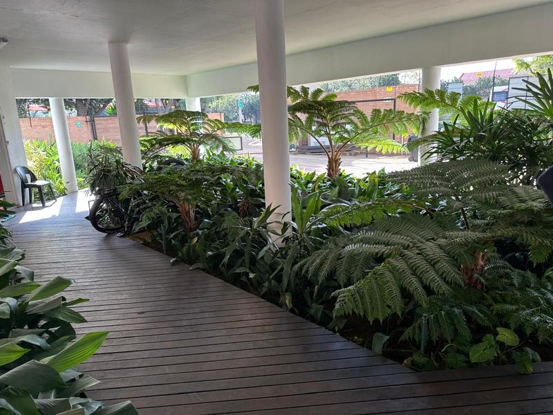 To Let Commercial Property for Rent in Menlo Park Gauteng