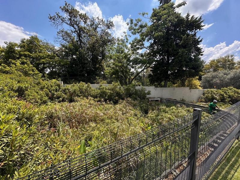 To Let 2 Bedroom Property for Rent in Bryanston Gauteng