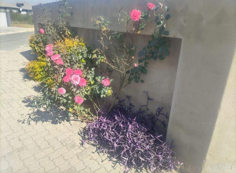 3 Bedroom Property for Sale in Salfin Gauteng