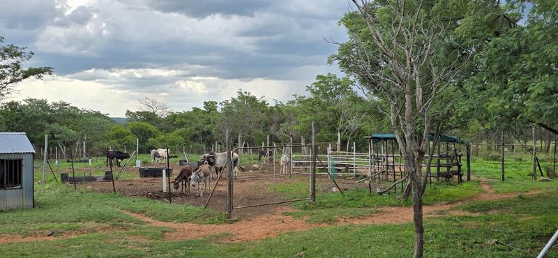 0 Bedroom Property for Sale in De Wagendrif Gauteng