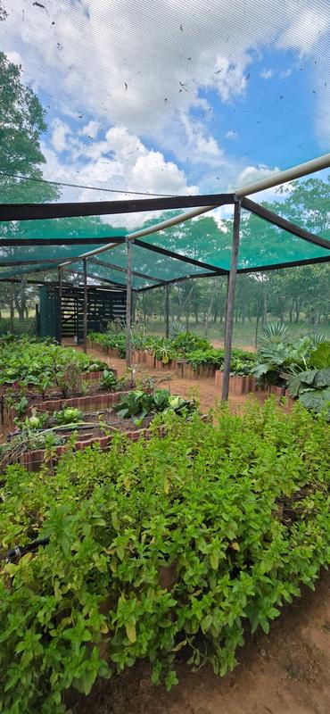 0 Bedroom Property for Sale in De Wagendrif Gauteng