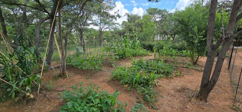 0 Bedroom Property for Sale in De Wagendrif Gauteng