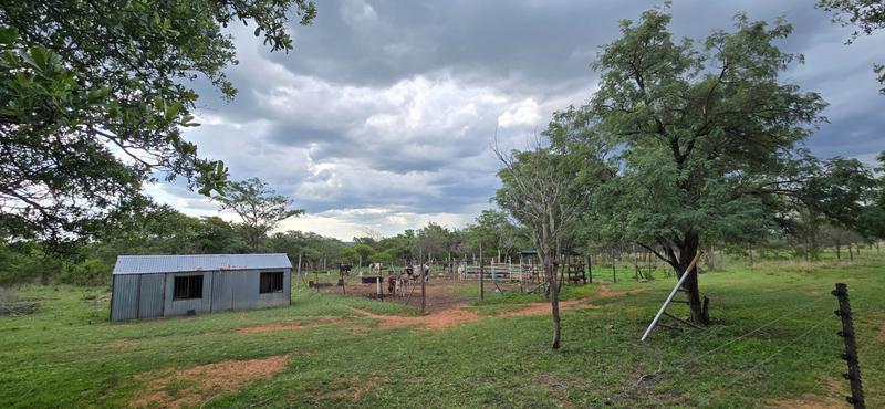 0 Bedroom Property for Sale in De Wagendrif Gauteng