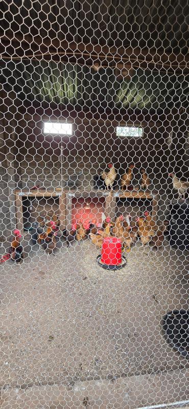 0 Bedroom Property for Sale in De Wagendrif Gauteng