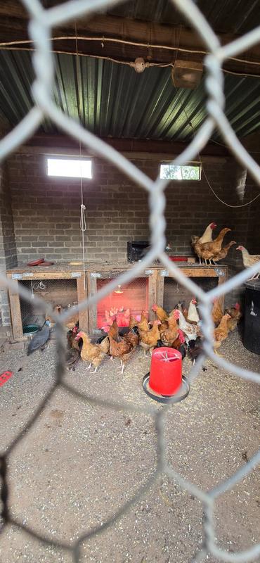 0 Bedroom Property for Sale in De Wagendrif Gauteng