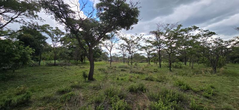 0 Bedroom Property for Sale in De Wagendrif Gauteng