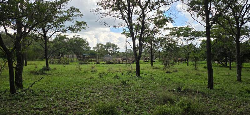 0 Bedroom Property for Sale in De Wagendrif Gauteng