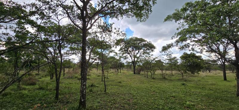 0 Bedroom Property for Sale in De Wagendrif Gauteng