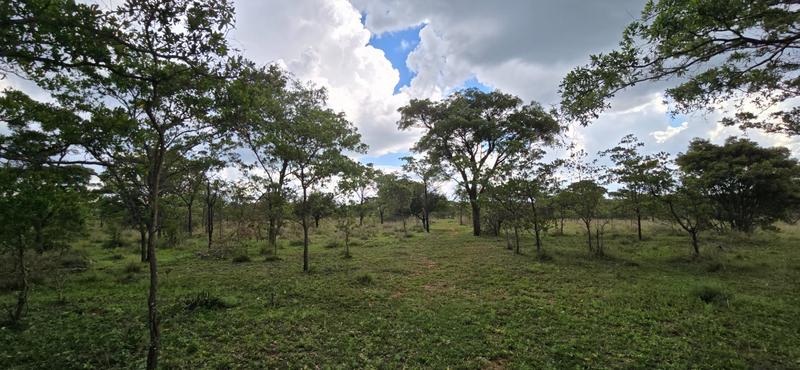 0 Bedroom Property for Sale in De Wagendrif Gauteng