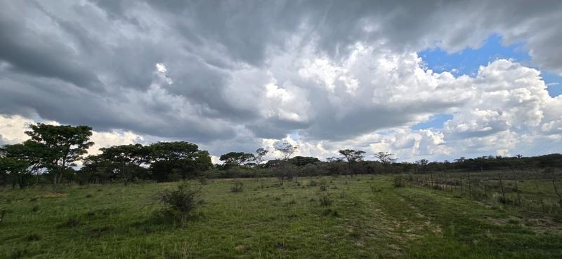 0 Bedroom Property for Sale in De Wagendrif Gauteng