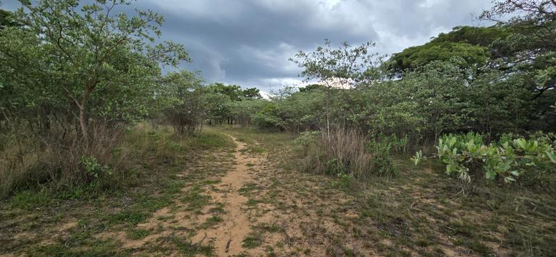 0 Bedroom Property for Sale in De Wagendrif Gauteng