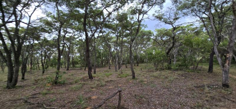 0 Bedroom Property for Sale in De Wagendrif Gauteng