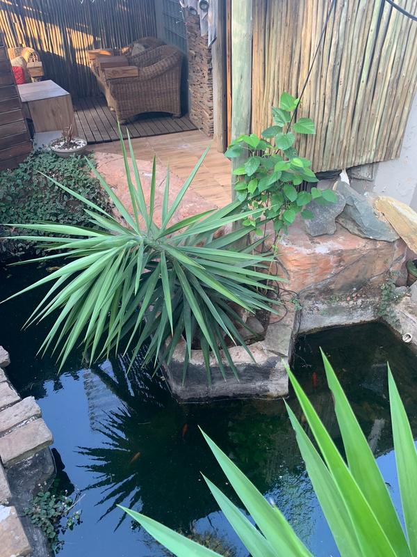 To Let 2 Bedroom Property for Rent in Kensington Gauteng