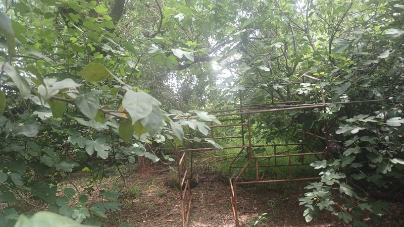 5 Bedroom Property for Sale in Clayville Gauteng