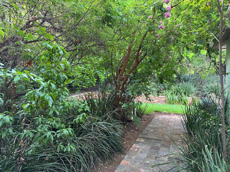 To Let 3 Bedroom Property for Rent in Waterkloof Ridge Gauteng