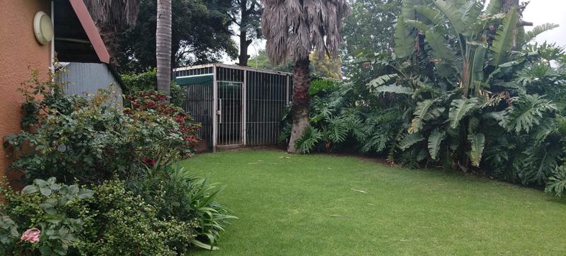 To Let 3 Bedroom Property for Rent in Kempton Park Gauteng