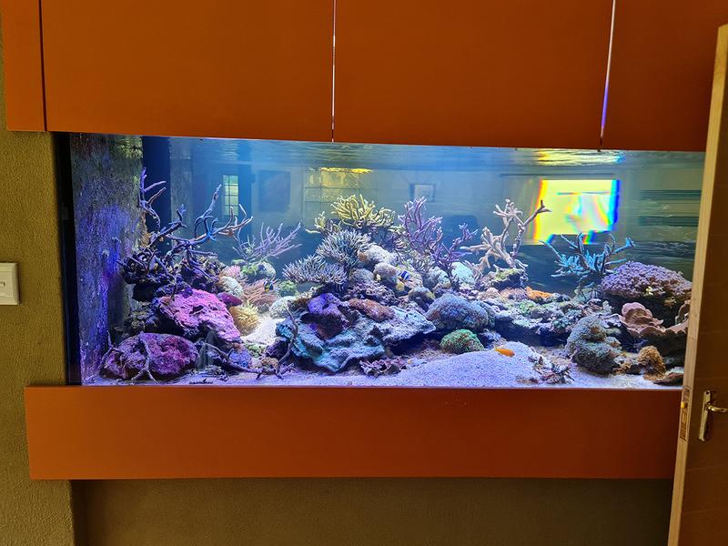 5 Bedroom Property for Sale in Edenburg Gauteng