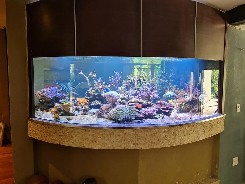 5 Bedroom Property for Sale in Edenburg Gauteng