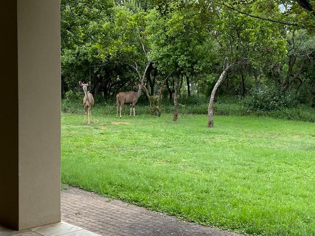 5 Bedroom Property for Sale in Sable Hills Gauteng