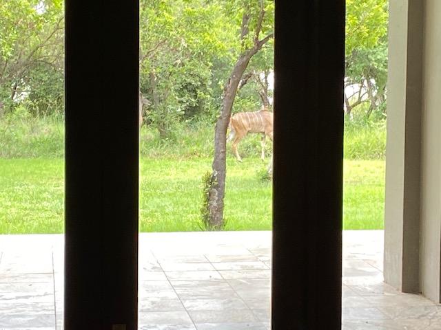 5 Bedroom Property for Sale in Sable Hills Gauteng