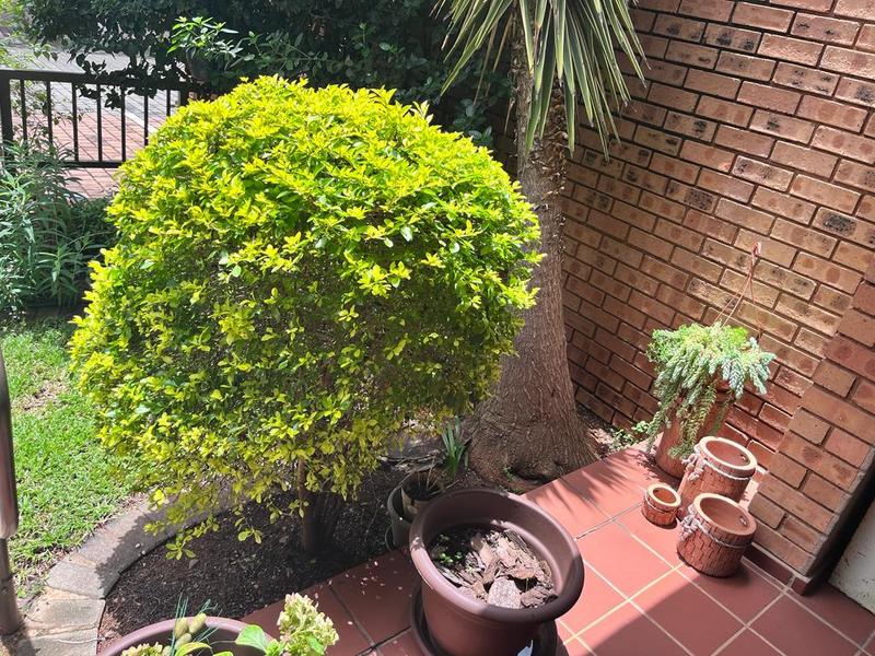 2 Bedroom Property for Sale in Newlands Gauteng