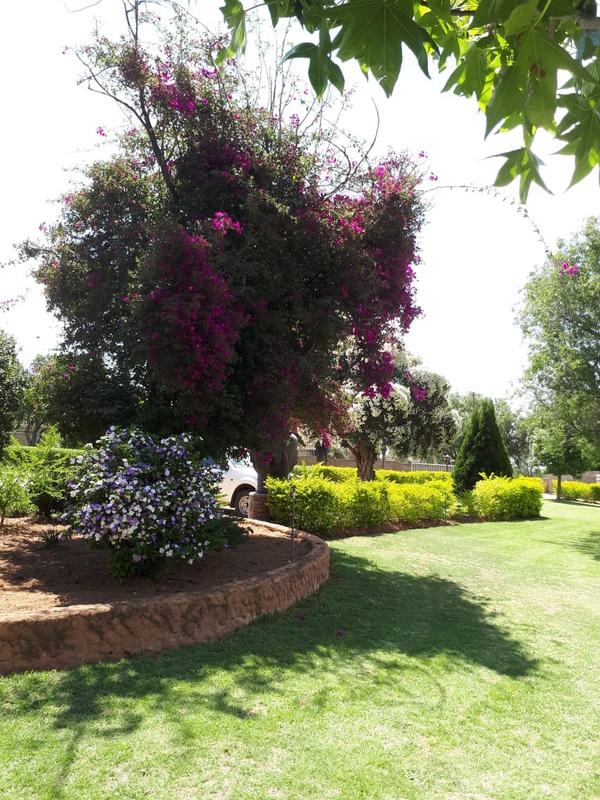 0 Bedroom Property for Sale in Randfontein Gauteng