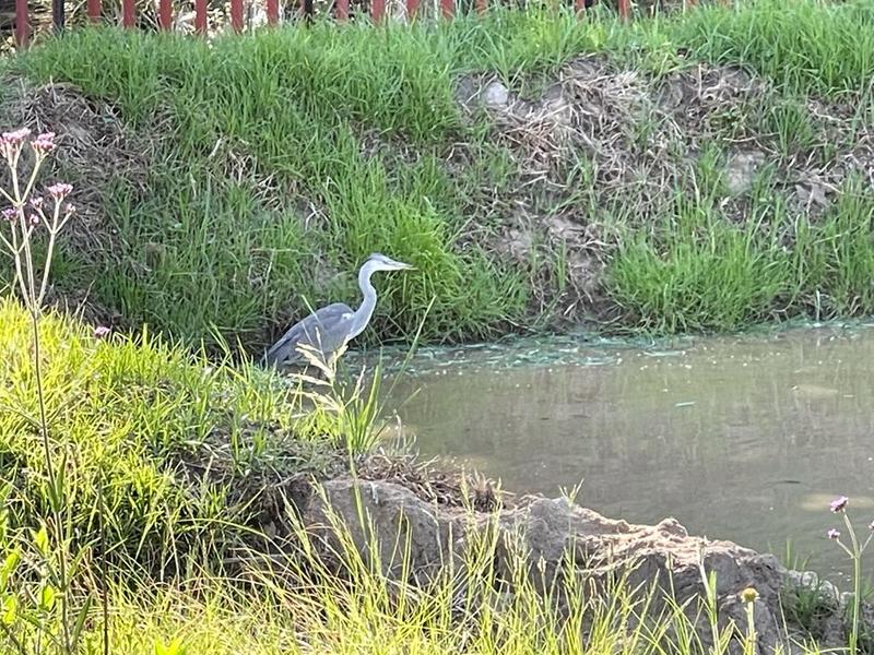 2 Bedroom Property for Sale in Muldersdrift Gauteng