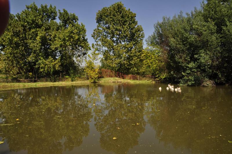 2 Bedroom Property for Sale in Muldersdrift Gauteng