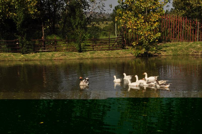 2 Bedroom Property for Sale in Muldersdrift Gauteng