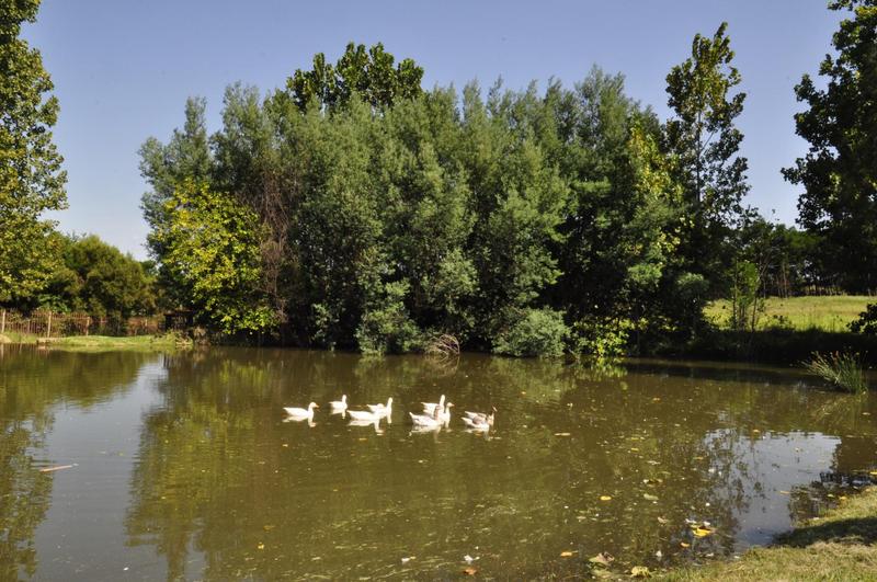 2 Bedroom Property for Sale in Muldersdrift Gauteng