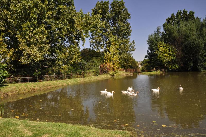 2 Bedroom Property for Sale in Muldersdrift Gauteng