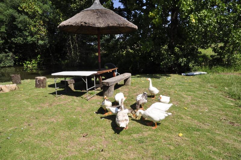 2 Bedroom Property for Sale in Muldersdrift Gauteng