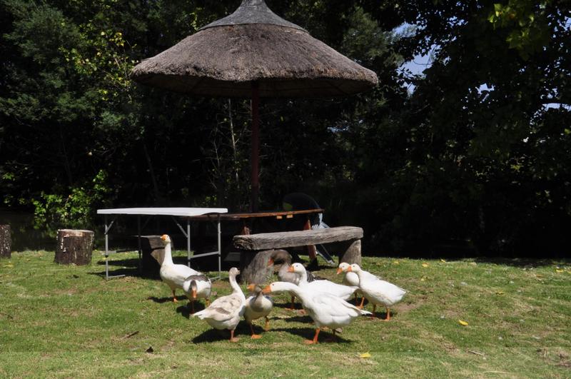 2 Bedroom Property for Sale in Muldersdrift Gauteng